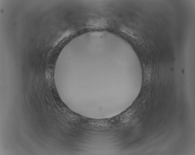 X0000067841254200605111634