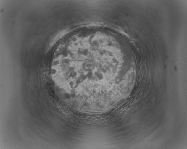 X0000067841255200605111633