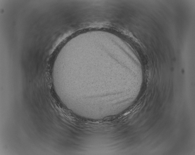 X0000067841256200605111633