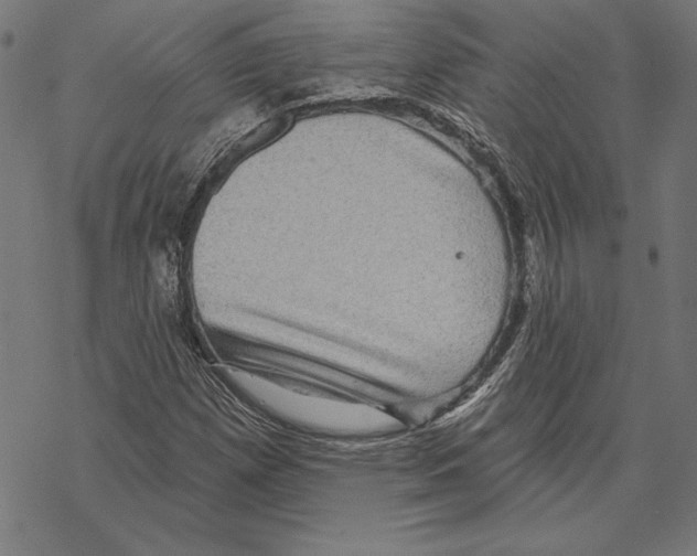 X0000067841257200605111633