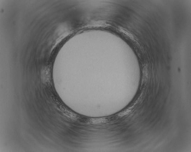 X0000067841258200605111633