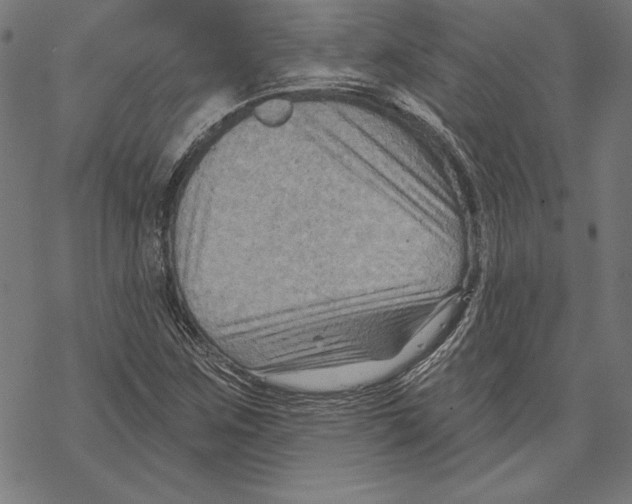 X0000067841259200605111633