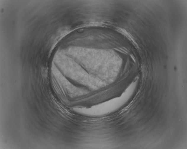 X0000067841260200605111633