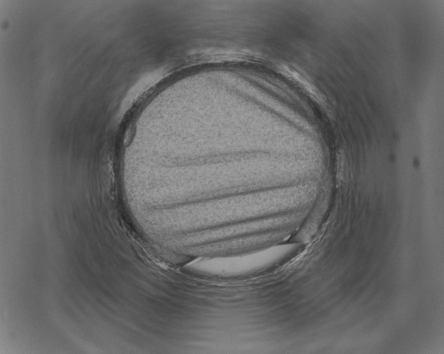 X0000067841261200605111633