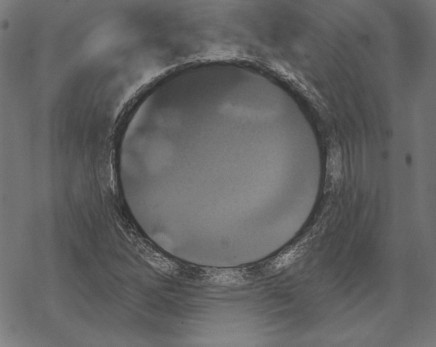 X0000067841262200605111633