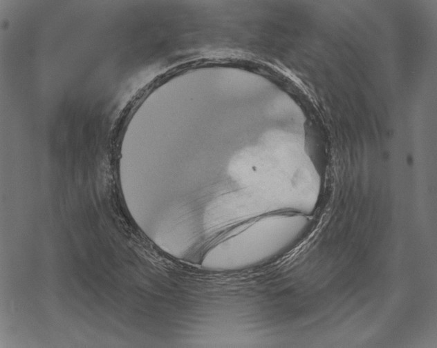 X0000067841263200605111633