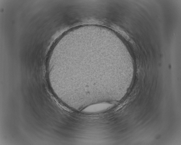 X0000067841264200605111633