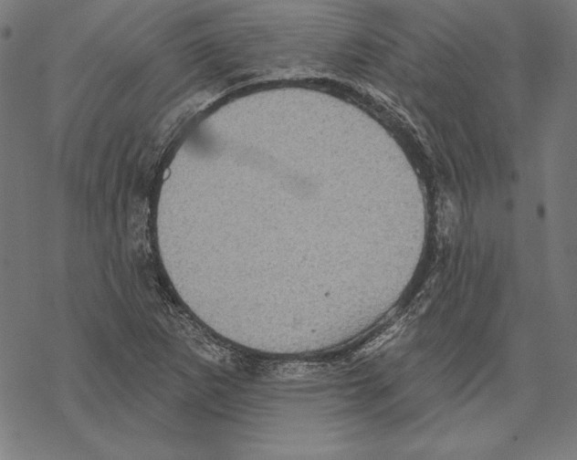 X0000067841265200605111633