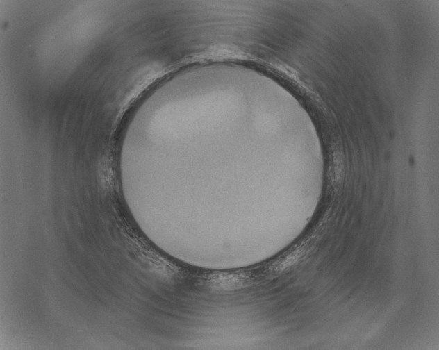 X0000067841266200605111633