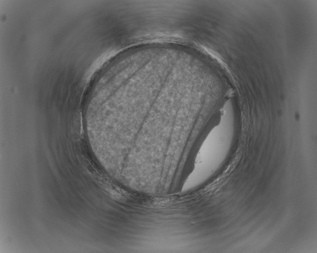 X0000067841267200605111633