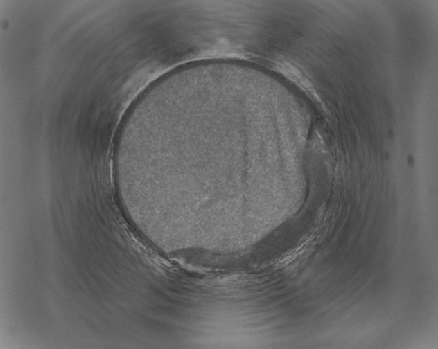 X0000067841268200605111633