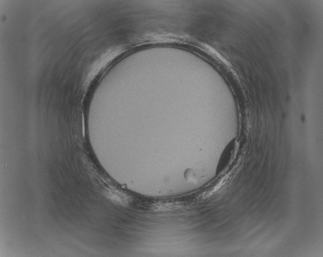 X0000067841269200605111633