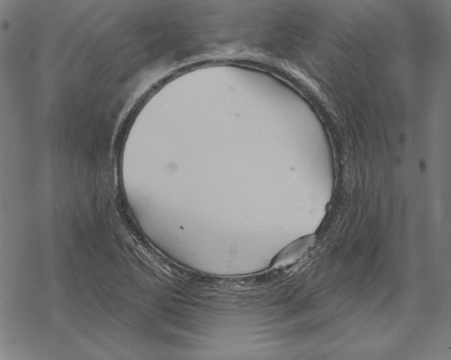 X0000067841270200605111633