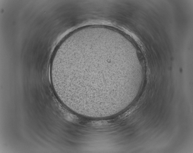 X0000067841272200605111633