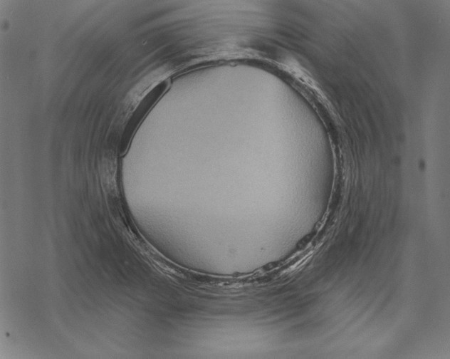 X0000067841273200605111633