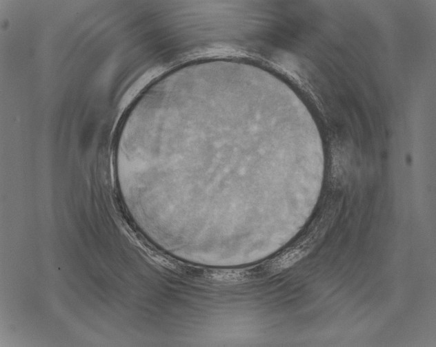 X0000067841274200605111633