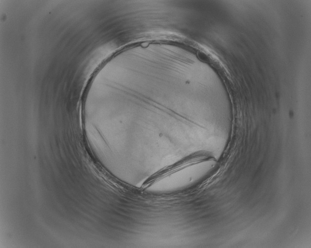 X0000067841275200605111633