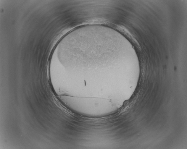 X0000067841276200605111633