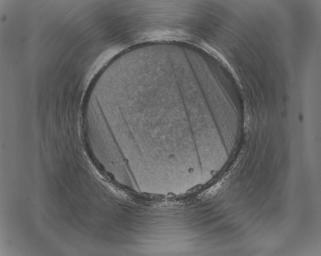 X0000067841277200605111633