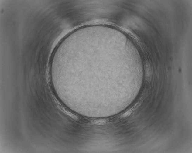 X0000067841278200605111633