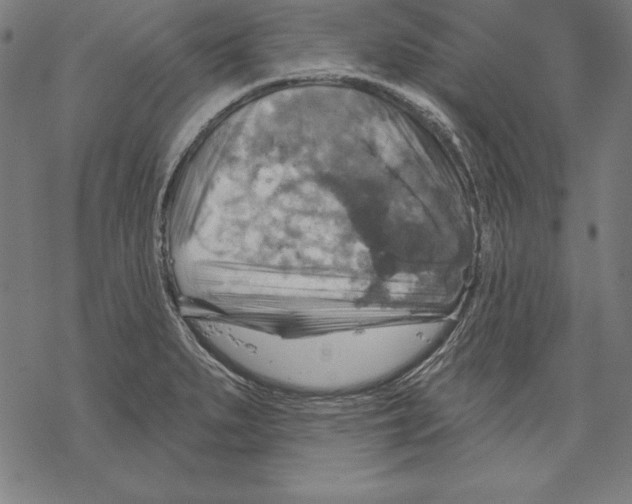 X0000067841279200605111633