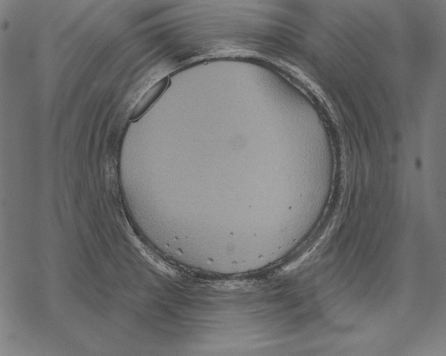 X0000067841281200605111633