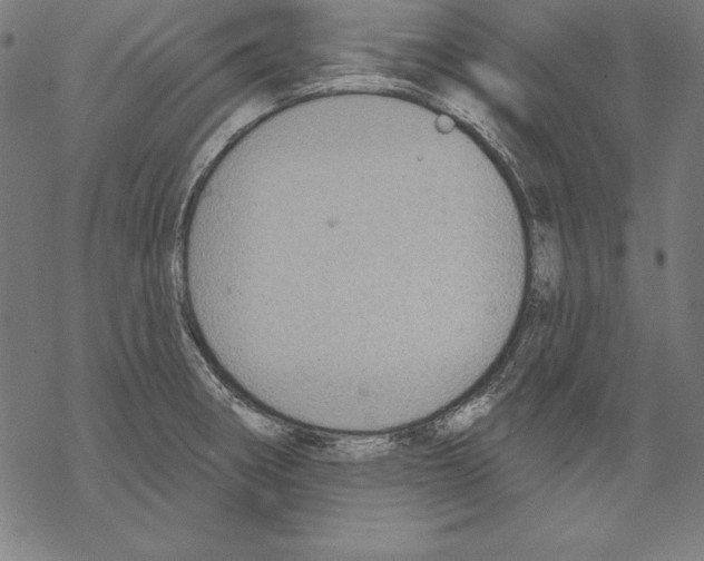 X0000067841282200605111633