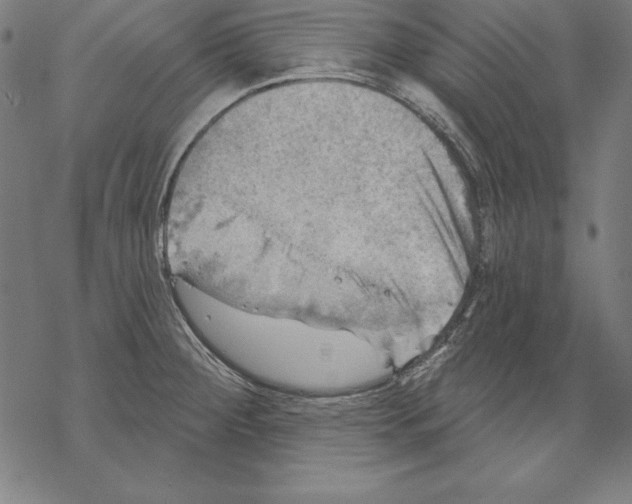 X0000067841284200605111633