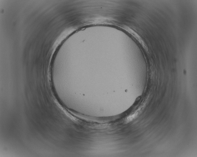 X0000067841285200605111633