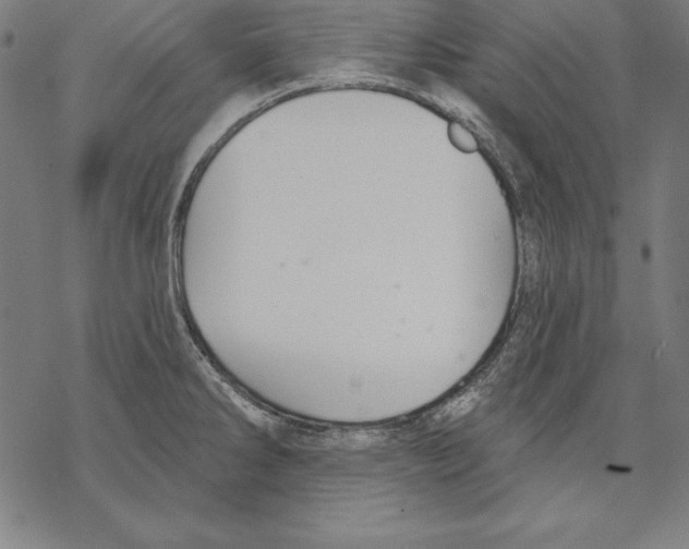 X0000067841286200605111633