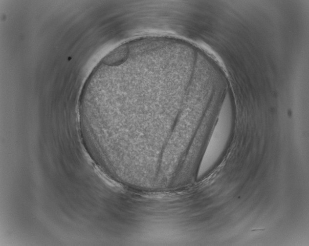 X0000067841287200605111633