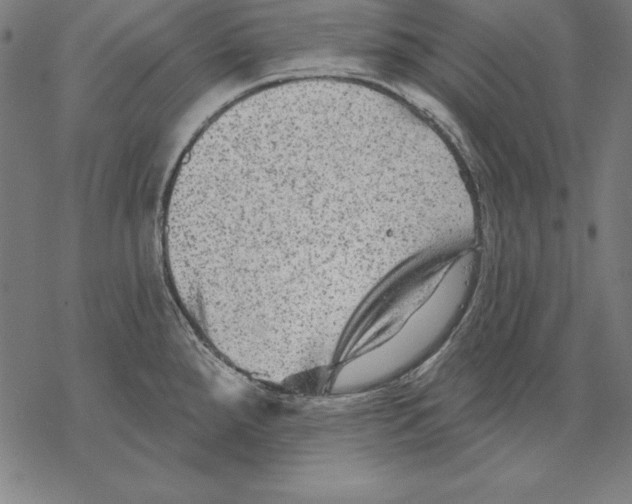 X0000067841288200605111633