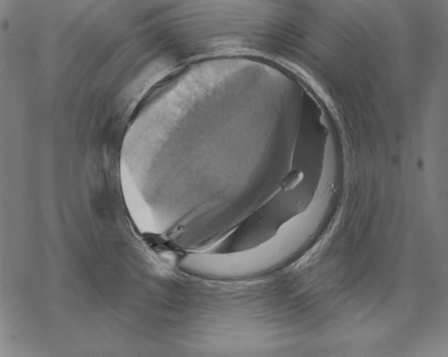 X0000067841289200605111633