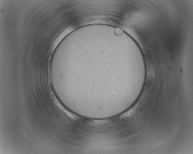 X0000067841290200605111633