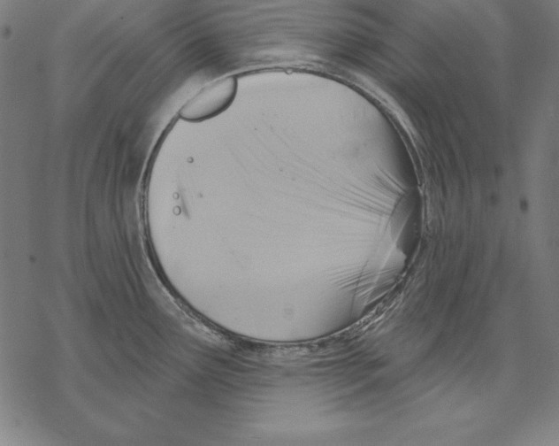 X0000067841291200605111633