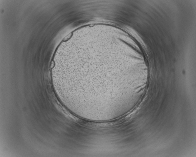 X0000067841292200605111633