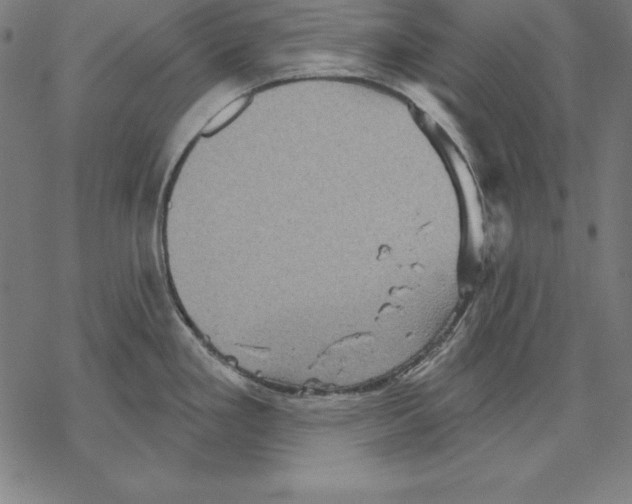 X0000067841293200605111633