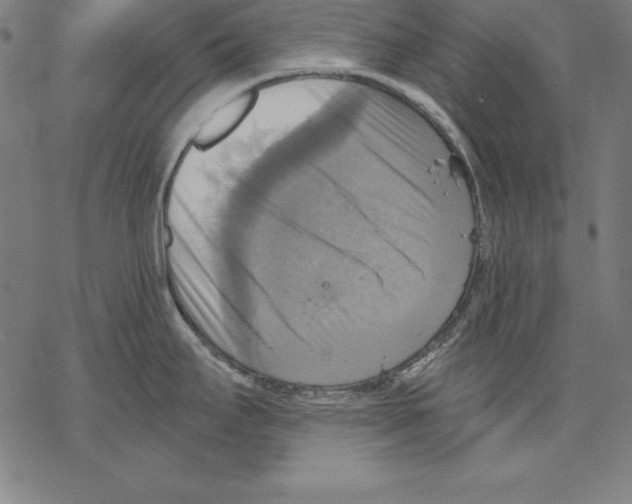 X0000067841295200605111633