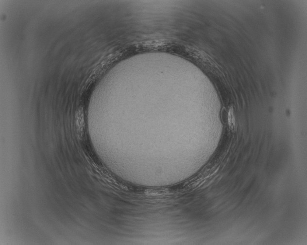 X0000067841299200605111632