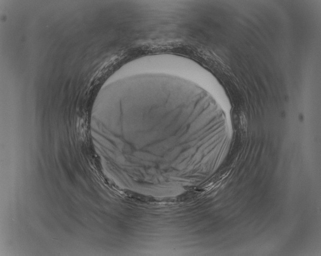 X0000067841300200605111632