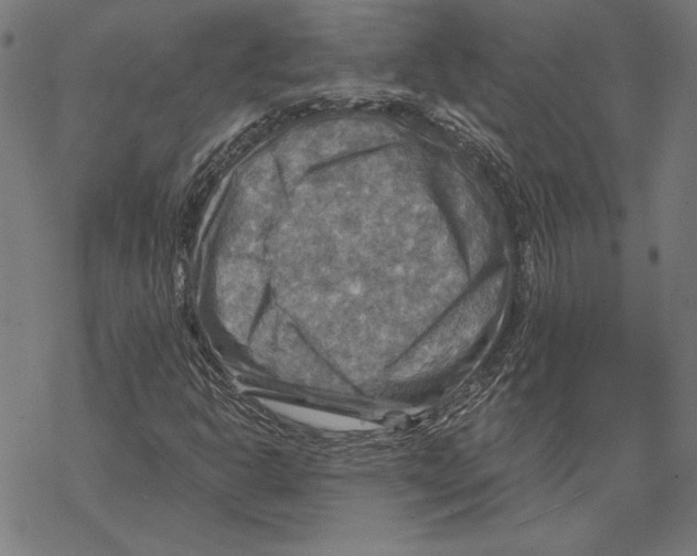 X0000067841302200605111632