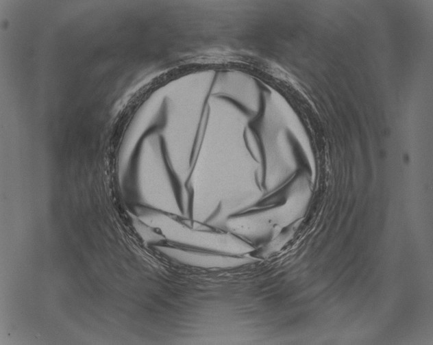 X0000067841304200605111632