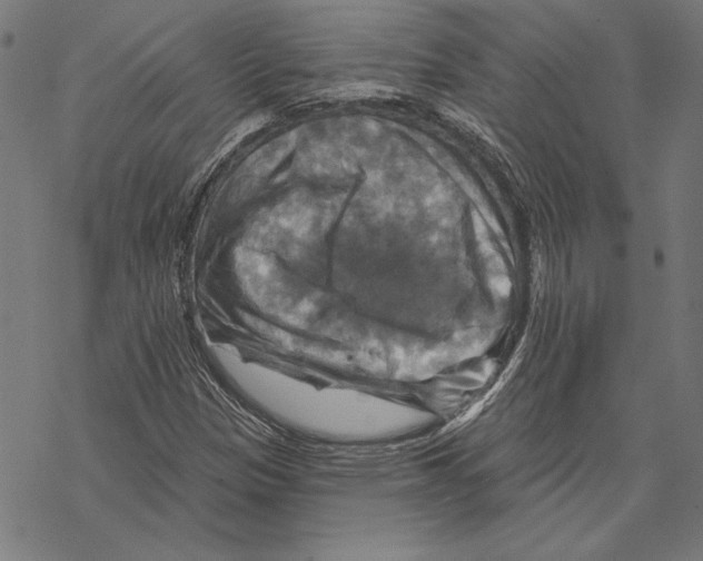 X0000067841305200605111632