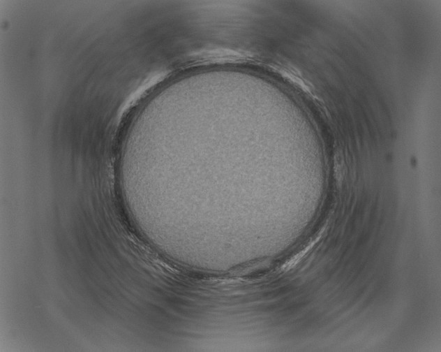 X0000067841309200605111632