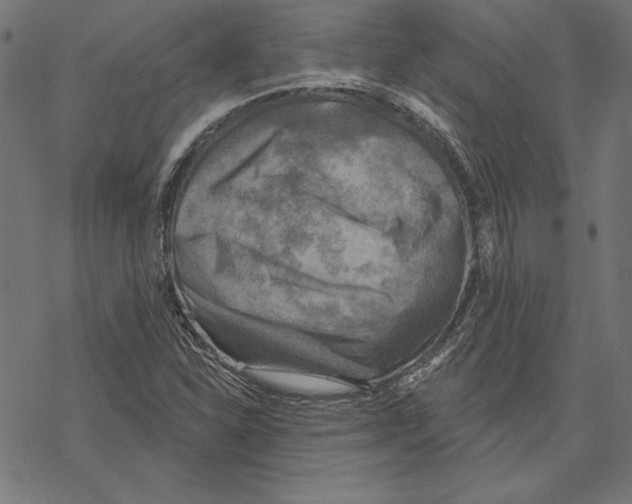 X0000067841310200605111632