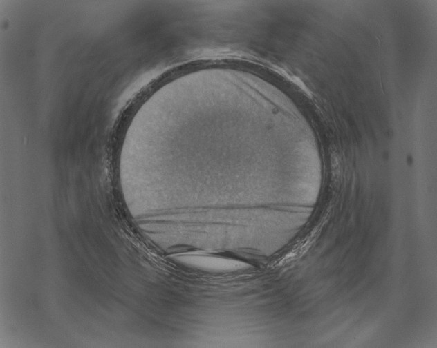 X0000067841311200605111632