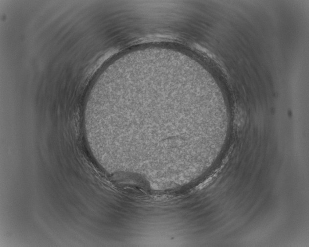 X0000067841313200605111632