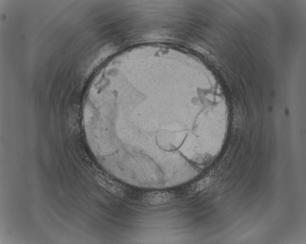 X0000067841314200605111632