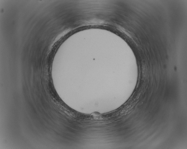 X0000067841315200605111632