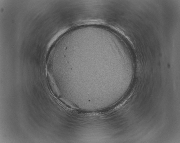 X0000067841317200605111632